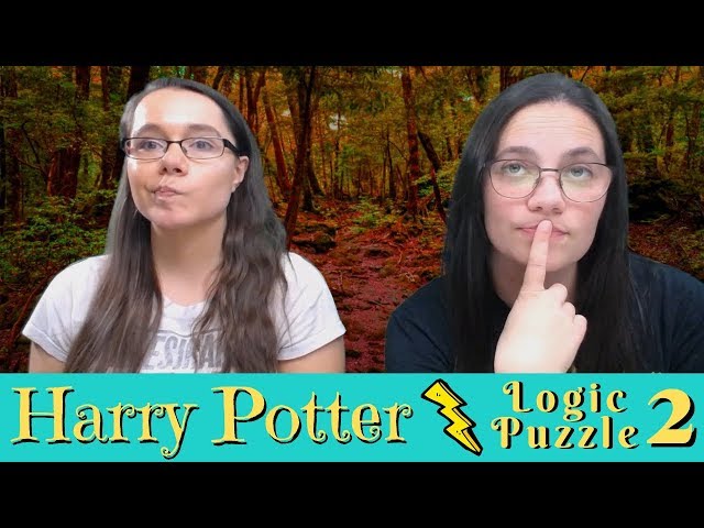 Harry Potter Logic Puzzle II | Pottermasters