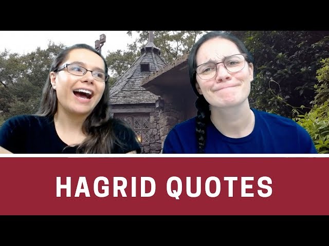 Hagrid Quotes Quiz | Pottermasters